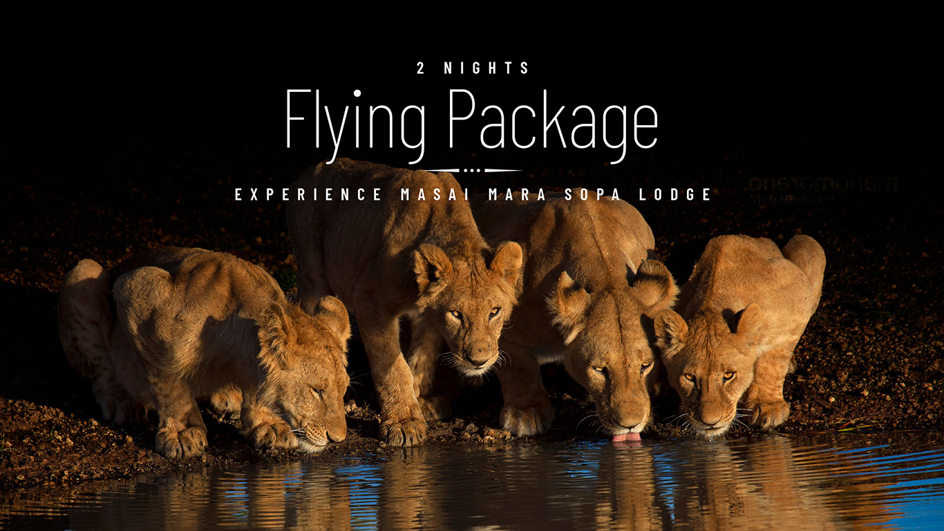 Masai Mara Flying Package