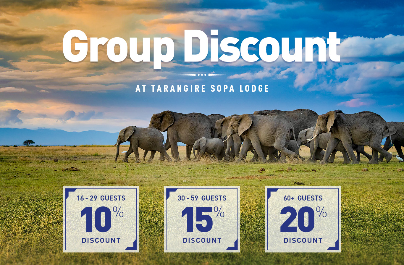 Group Discount